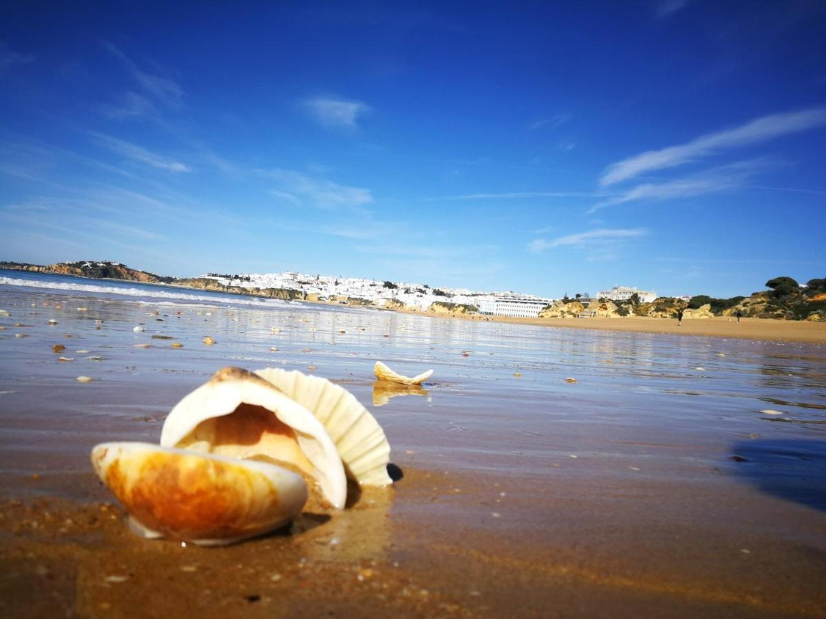 Luxe Condo With Pool, Airco And Seaview Balcony - Go4Portugal - Albufeira Extérieur photo